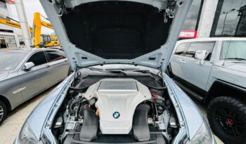 BMW X6 HYBRID lleno